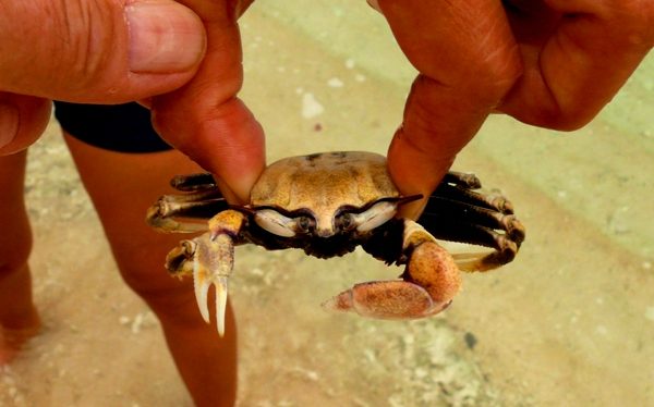 ananda private charter gallery