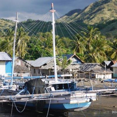 cruise flores ananda liveaboard